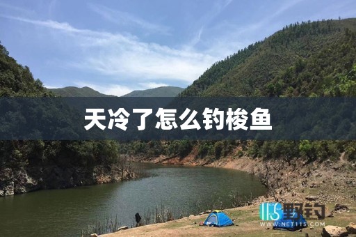天冷了怎么钓梭鱼