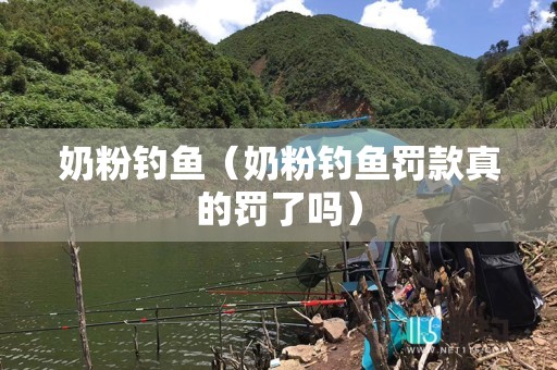 奶粉钓鱼（奶粉钓鱼罚款真的罚了吗）