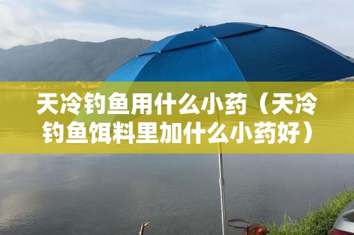 天冷钓鱼用什么小药（天冷钓鱼饵料里加什么小药好）