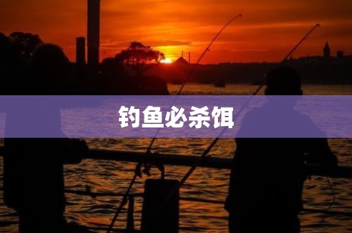 钓鱼必杀饵