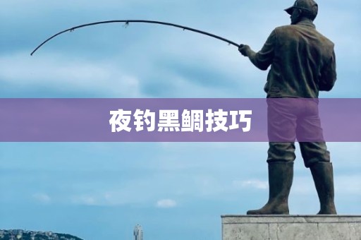 夜钓黑鲷技巧