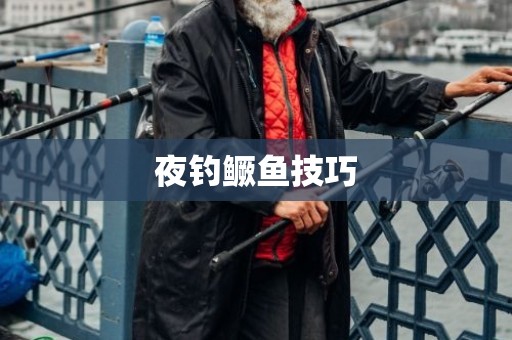 夜钓鳜鱼技巧