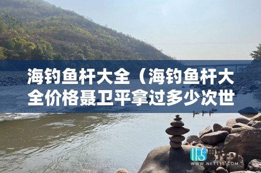 海钓鱼杆大全（海钓鱼杆大全价格聂卫平拿过多少次世界冠军）