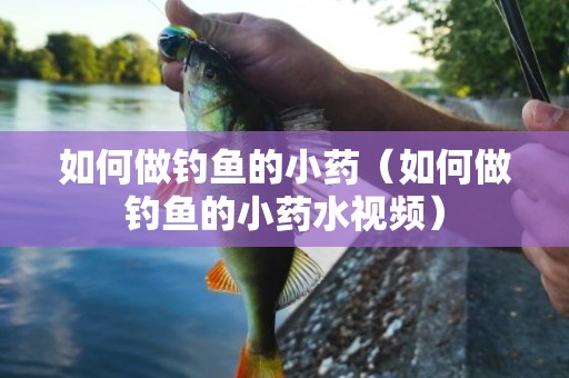 如何做钓鱼的小药（如何做钓鱼的小药水视频）