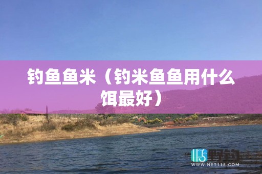 钓鱼鱼米（钓米鱼鱼用什么饵最好）