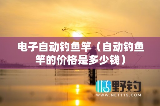 电子自动钓鱼竿（自动钓鱼竿的价格是多少钱）