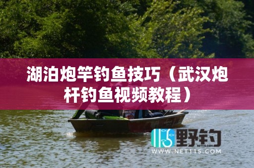 湖泊炮竿钓鱼技巧（武汉炮杆钓鱼视频教程）