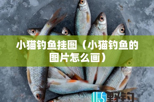 小猫钓鱼挂图（小猫钓鱼的图片怎么画）