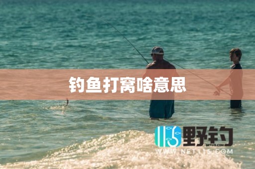 钓鱼打窝啥意思