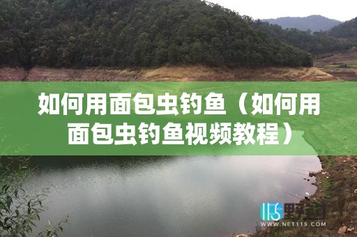 如何用面包虫钓鱼（如何用面包虫钓鱼视频教程）