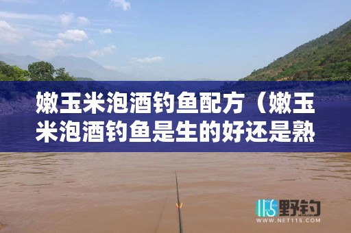 嫩玉米泡酒钓鱼配方（嫩玉米泡酒钓鱼是生的好还是熟的好）