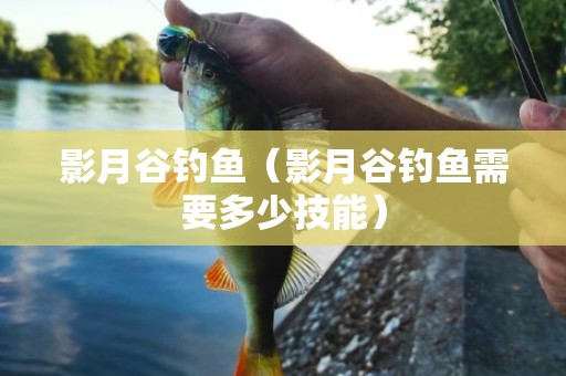 影月谷钓鱼（影月谷钓鱼需要多少技能）