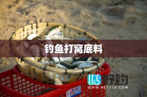 钓鱼打窝底料