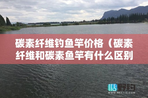 碳素纤维钓鱼竿价格（碳素纤维和碳素鱼竿有什么区别）