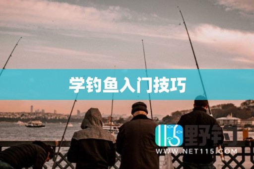 学钓鱼入门技巧
