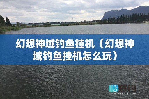 幻想神域钓鱼挂机（幻想神域钓鱼挂机怎么玩）