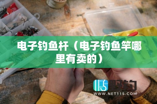 电子钓鱼杆（电子钓鱼竿哪里有卖的）