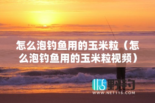 怎么泡钓鱼用的玉米粒（怎么泡钓鱼用的玉米粒视频）