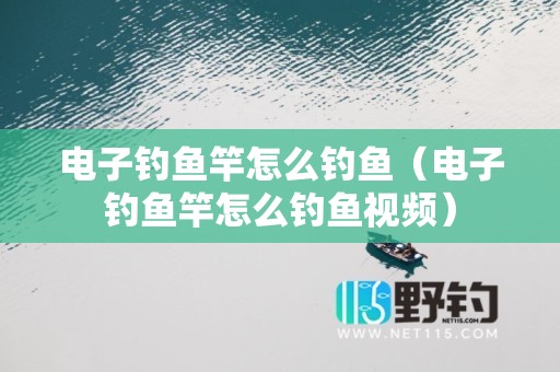 电子钓鱼竿怎么钓鱼（电子钓鱼竿怎么钓鱼视频）