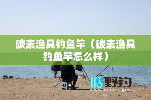 碳素渔具钓鱼竿（碳素渔具钓鱼竿怎么样）