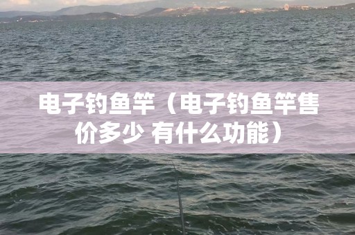 电子钓鱼竿（电子钓鱼竿售价多少 有什么功能）