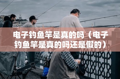 电子钓鱼竿是真的吗（电子钓鱼竿是真的吗还是假的）