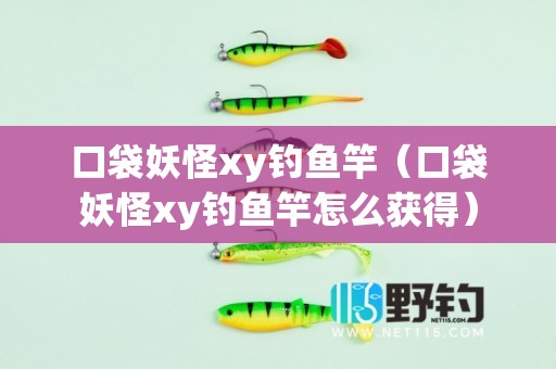 口袋妖怪xy钓鱼竿（口袋妖怪xy钓鱼竿怎么获得）