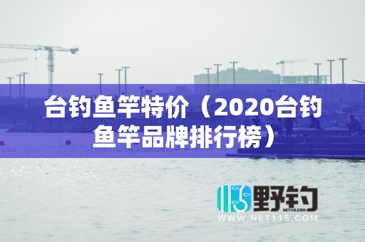 台钓鱼竿特价（2020台钓鱼竿品牌排行榜）