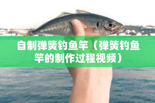 自制弹簧钓鱼竿（弹簧钓鱼竿的制作过程视频）