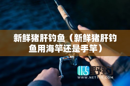 新鲜猪肝钓鱼（新鲜猪肝钓鱼用海竿还是手竿）