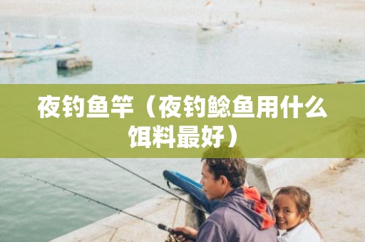 夜钓鱼竿（夜钓鲶鱼用什么饵料最好）