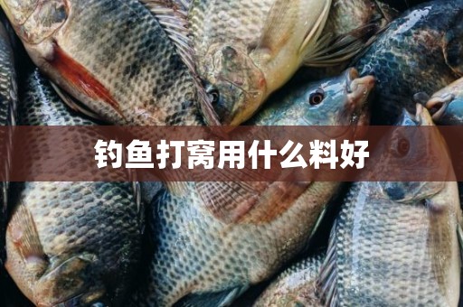 钓鱼打窝用什么料好