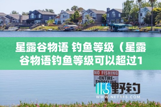 星露谷物语 钓鱼等级（星露谷物语钓鱼等级可以超过10吗）