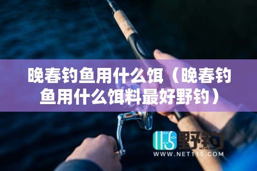 晚春钓鱼用什么饵（晚春钓鱼用什么饵料最好野钓）