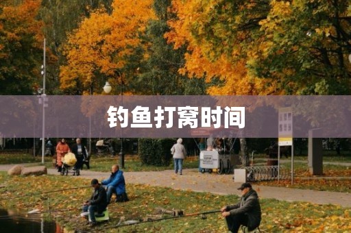 钓鱼打窝时间