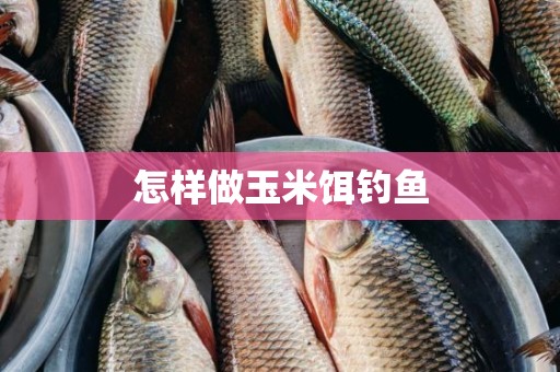 怎样做玉米饵钓鱼