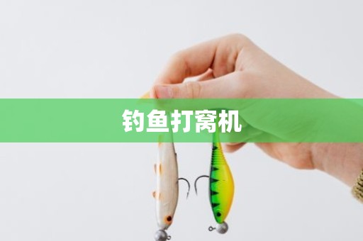 钓鱼打窝机