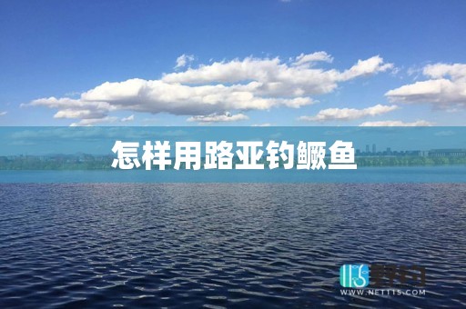 怎样用路亚钓鳜鱼