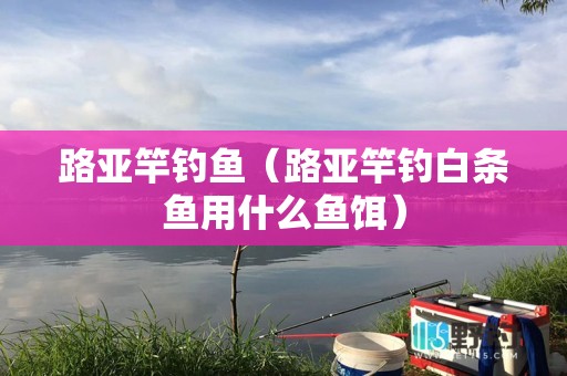 路亚竿钓鱼（路亚竿钓白条鱼用什么鱼饵）