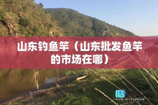 山东钓鱼竿（山东批发鱼竿的市场在哪）