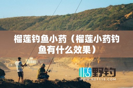 榴莲钓鱼小药（榴莲小药钓鱼有什么效果）
