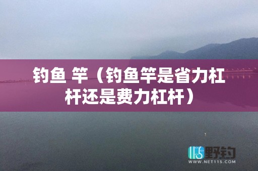 钓鱼 竿（钓鱼竿是省力杠杆还是费力杠杆）