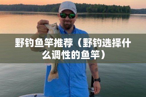 野钓鱼竿推荐（野钓选择什么调性的鱼竿）