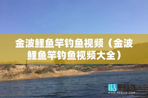金波鲤鱼竿钓鱼视频（金波鲤鱼竿钓鱼视频大全）