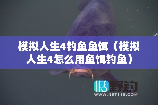 模拟人生4钓鱼鱼饵（模拟人生4怎么用鱼饵钓鱼）