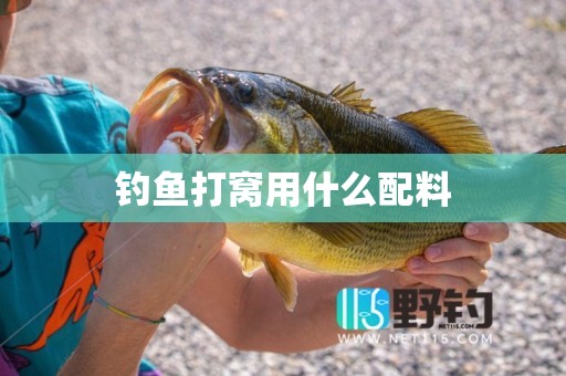 钓鱼打窝用什么配料
