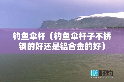 钓鱼伞杆（钓鱼伞杆子不锈钢的好还是铝合金的好）