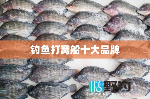 钓鱼打窝船十大品牌