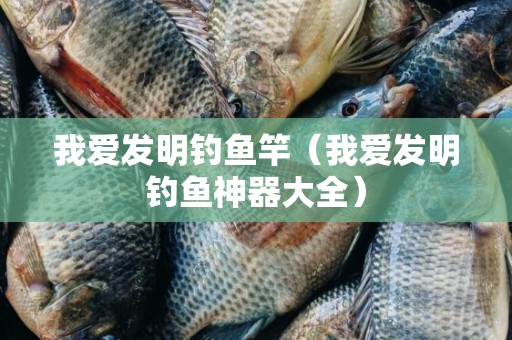 我爱发明钓鱼竿（我爱发明钓鱼神器大全）