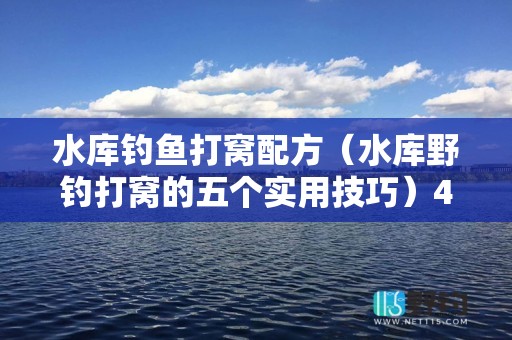 水库钓鱼打窝配方（水库野钓打窝的五个实用技巧）4